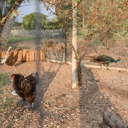 Beautiful In * 끼아라몬떼굴피