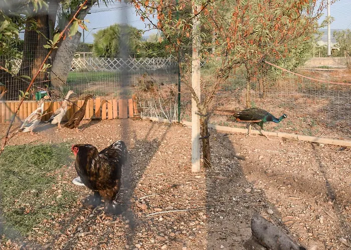 Beautiful In * Chiaramonte Gulfi