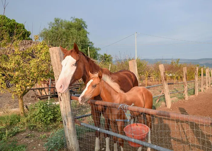 Dom wakacyjny Beautiful In